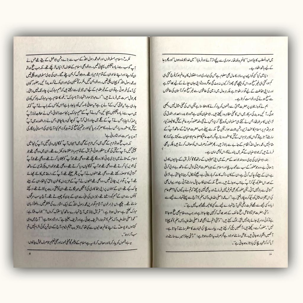 Muhammad (SAW): A Biography of the Prophet (Muhammad (SAW): Aik Seerah e Nabvi)